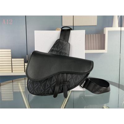 Dior Bags AAA 113